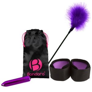 Bondara Playfully Purple Pleasure Bundle